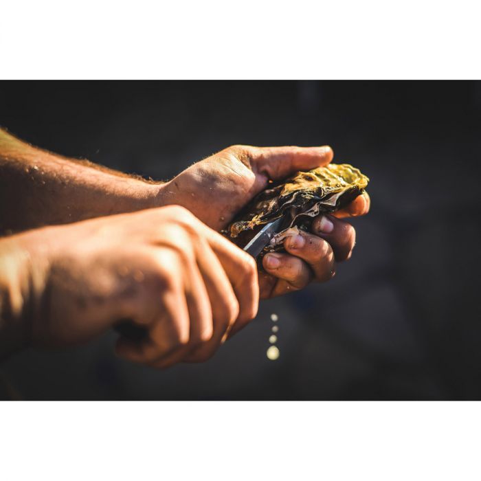 Wooden Handled Oyster Knife