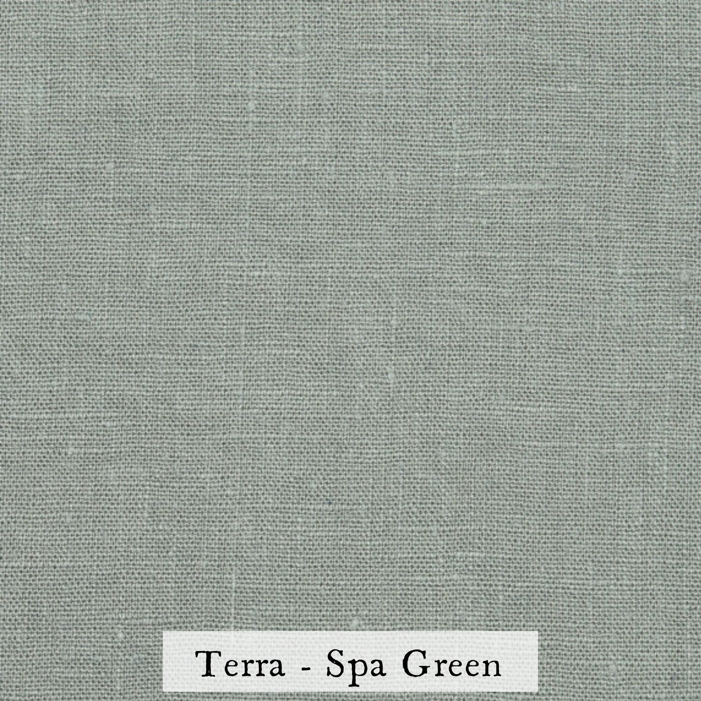 Linen Napkins - Set of 2