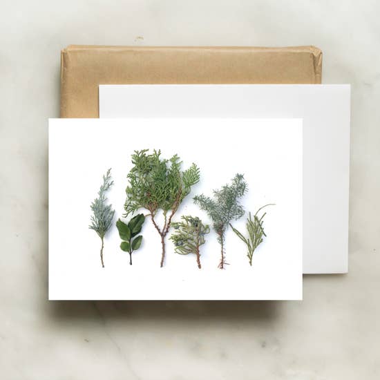 Holiday Bottle Branch Cards