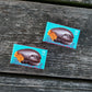 Peanut Butter Ganache Lobster Chocolate: Milk
