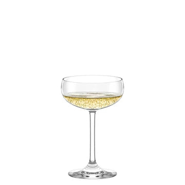 Champagne Coup Set of 6