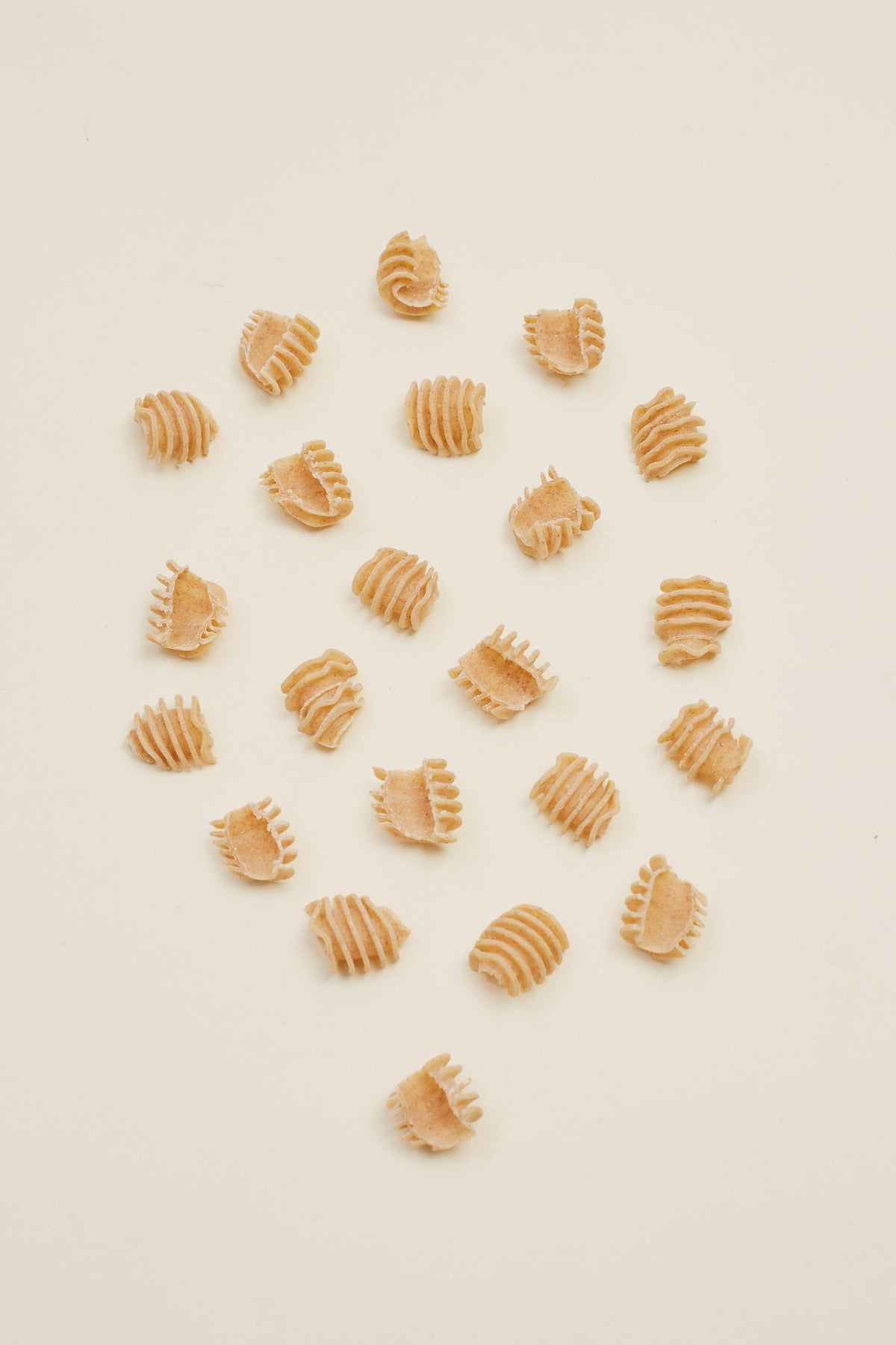 Whole Grain Radiatori