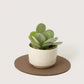 Medium Round Wool Felt Trivets