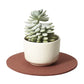 Medium Round Wool Felt Trivets