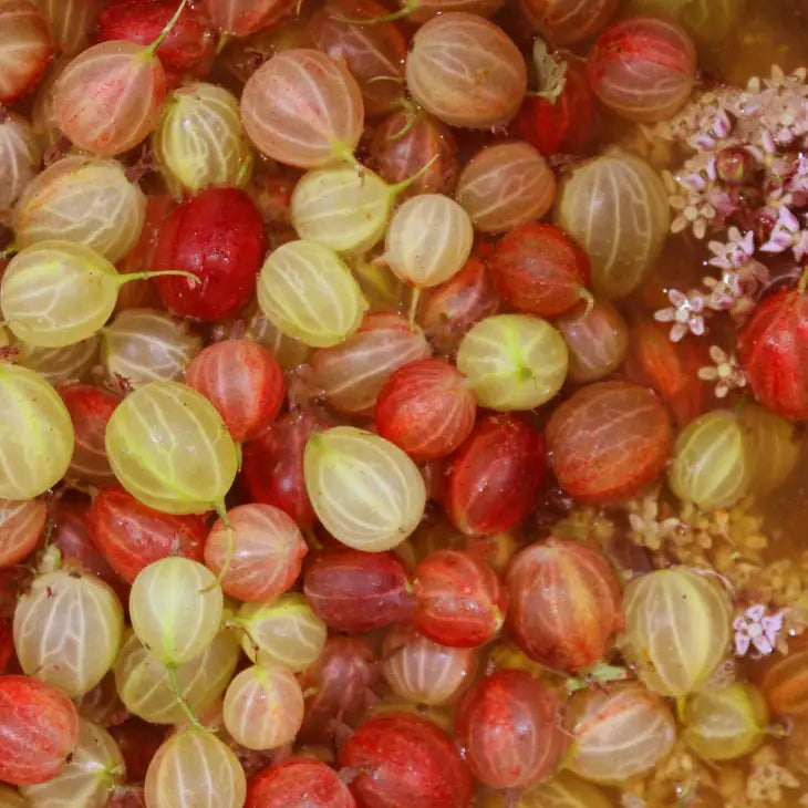 Gooseberry with Elderflower Jam